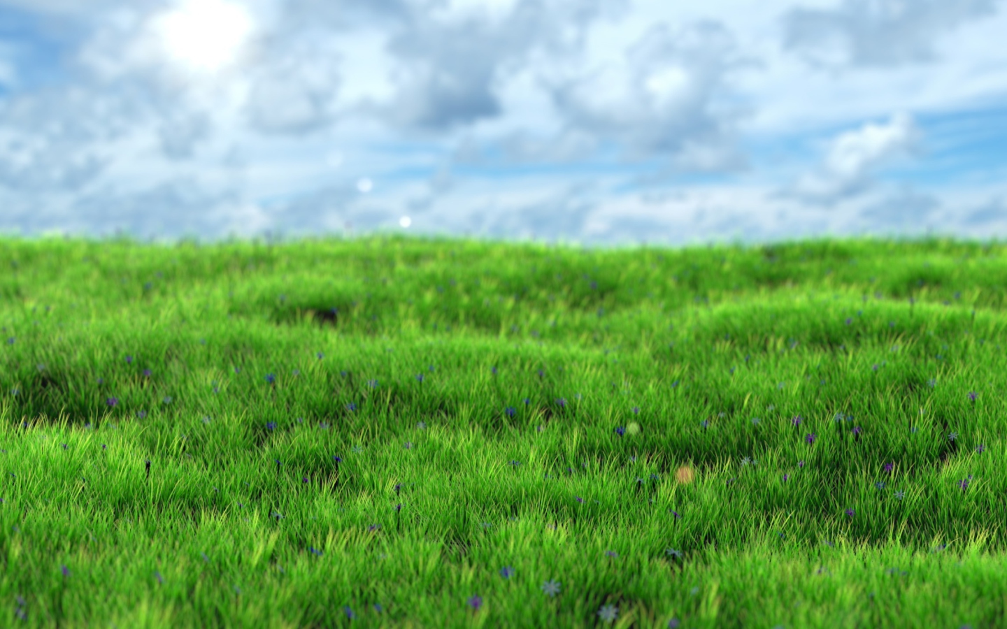Screenshot №1 pro téma Green Grass 1440x900