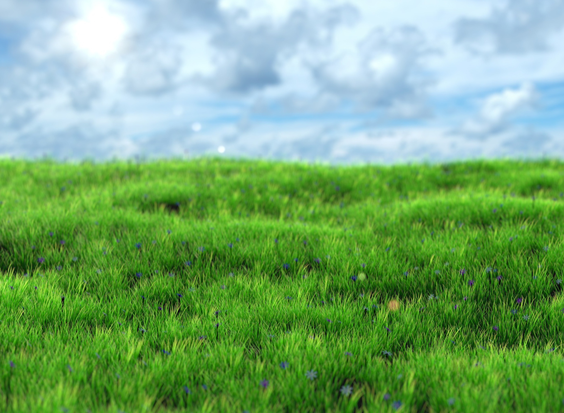 Sfondi Green Grass 1920x1408