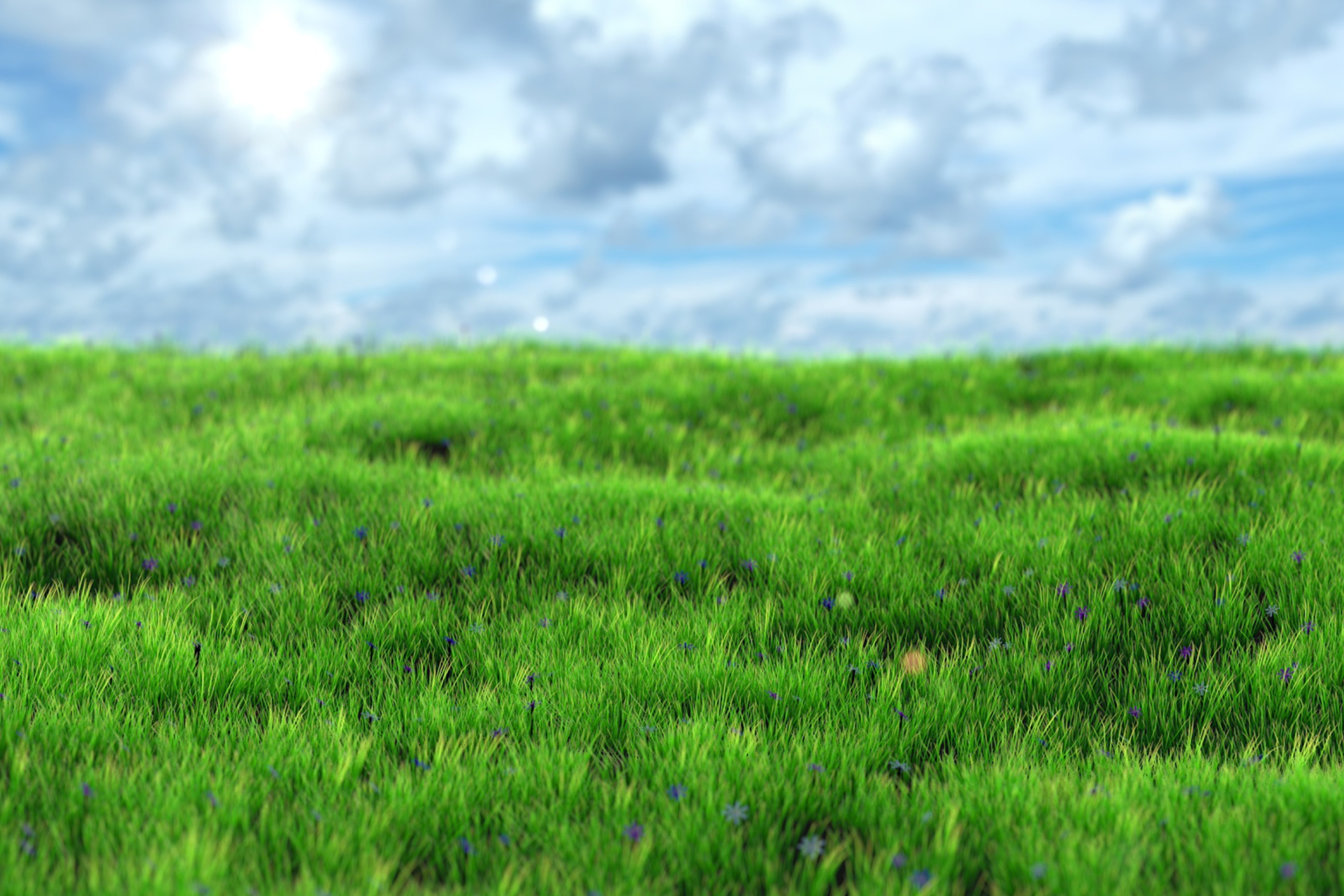 Green Grass screenshot #1 2880x1920