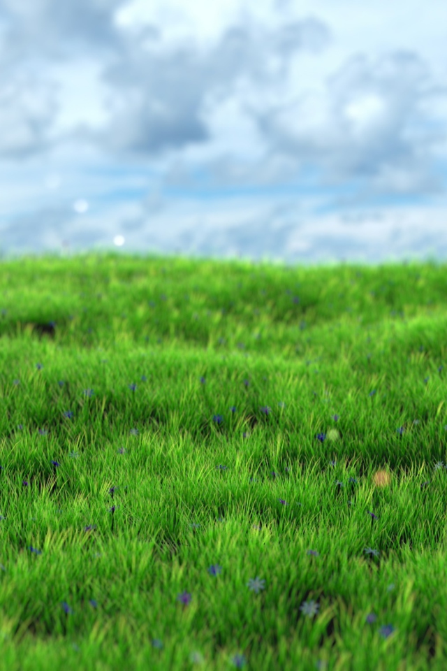 Обои Green Grass 640x960