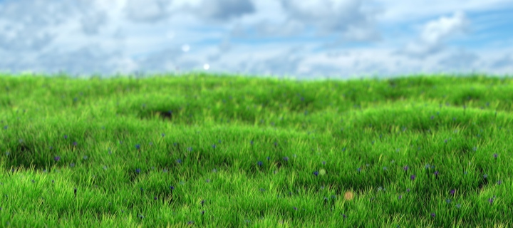 Das Green Grass Wallpaper 720x320