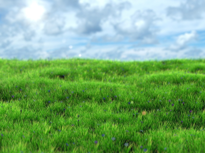 Green Grass screenshot #1 800x600