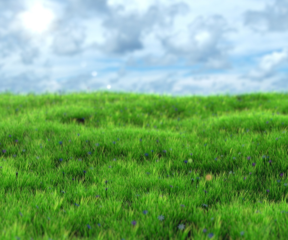 Обои Green Grass 960x800