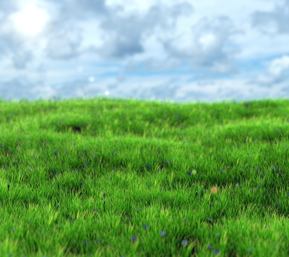 Green Grass wallpaper 960x854