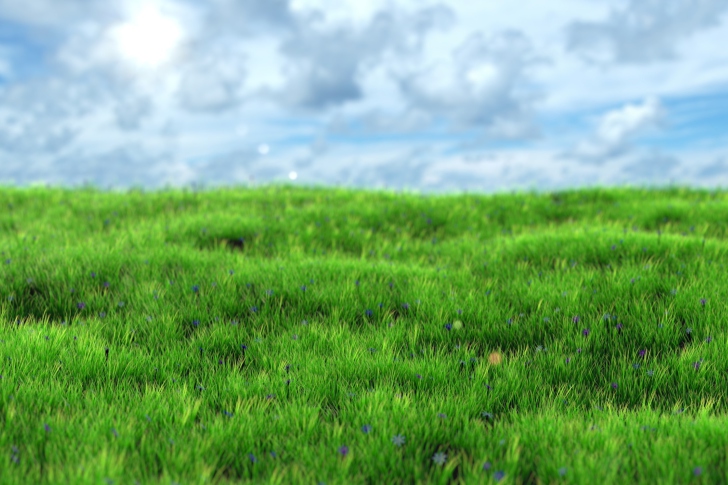 Fondo de pantalla Green Grass