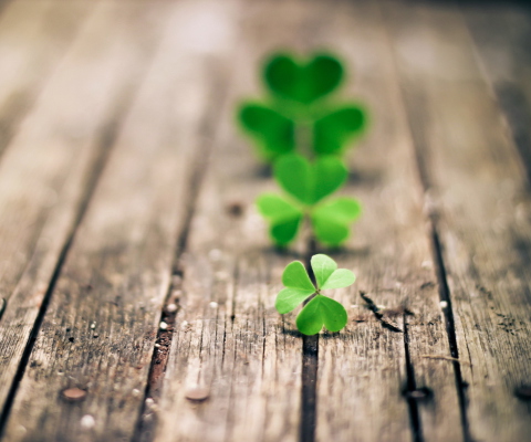 Clover Leaves screenshot #1 480x400