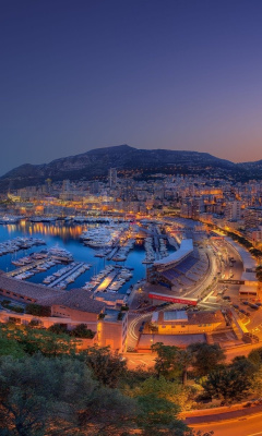 Monte Carlo screenshot #1 240x400