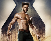Das Wolverine In X Men Days Of Future Past Wallpaper 220x176