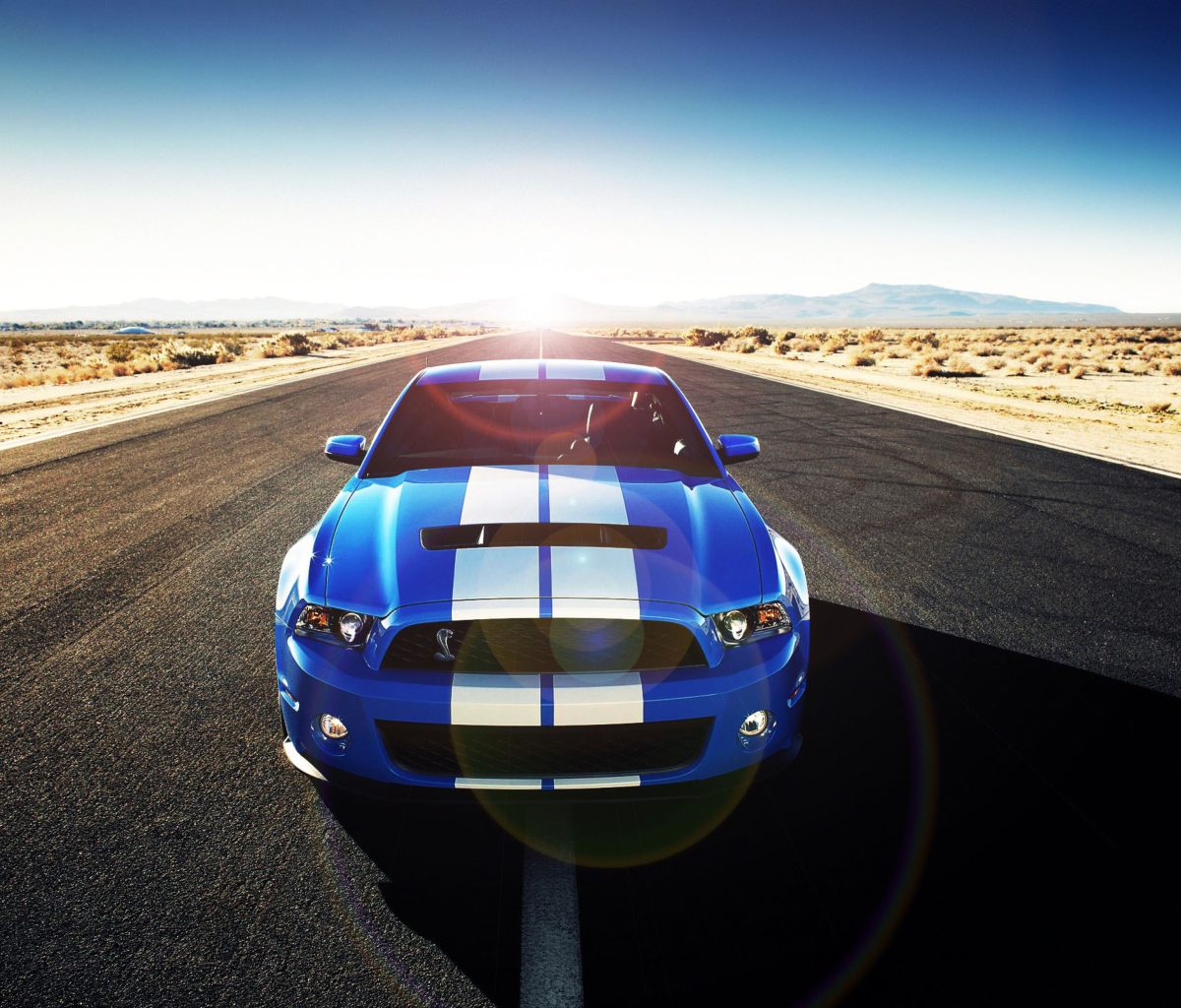 Das Shelby Wallpaper 1200x1024