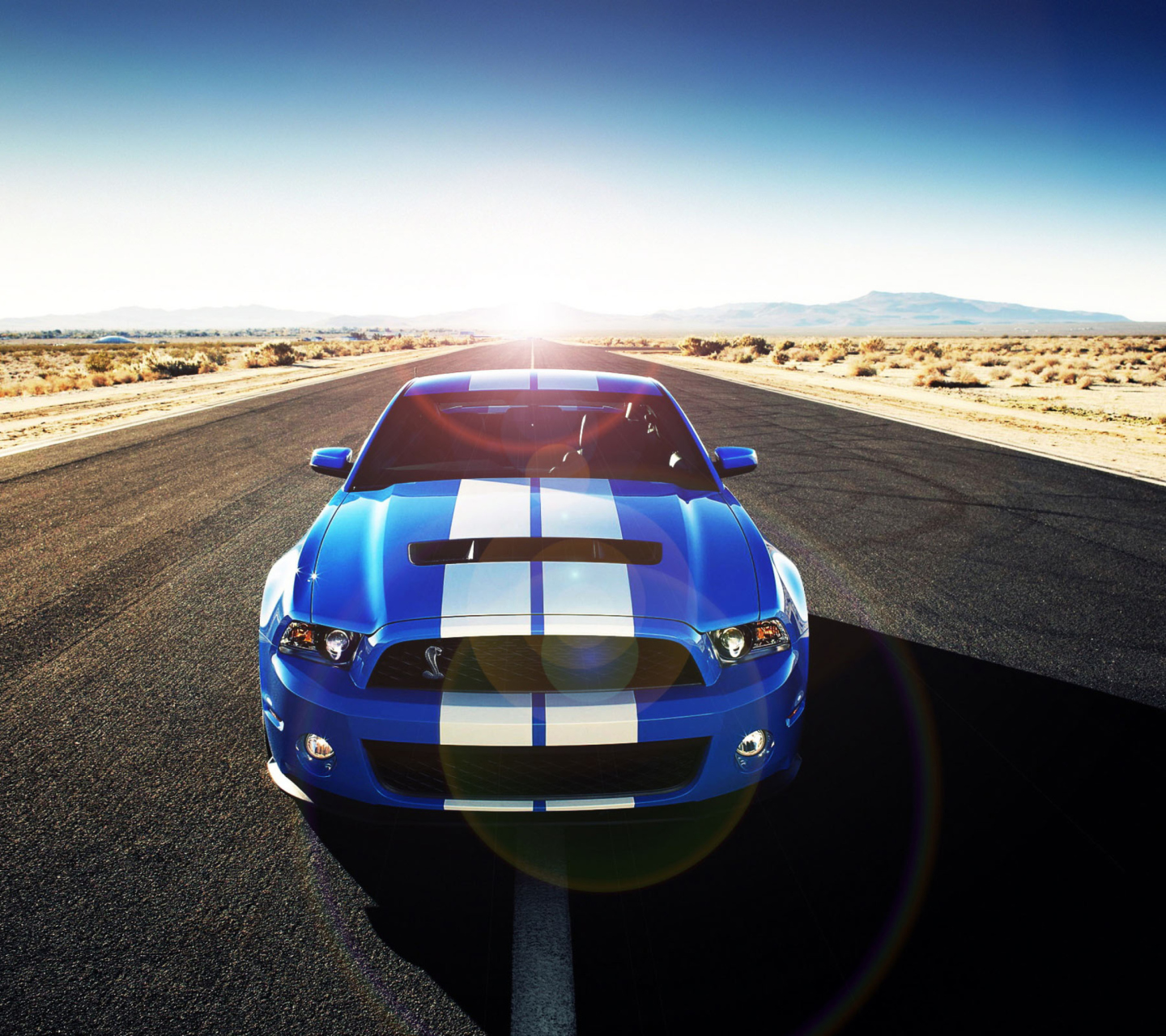 Das Shelby Wallpaper 1440x1280