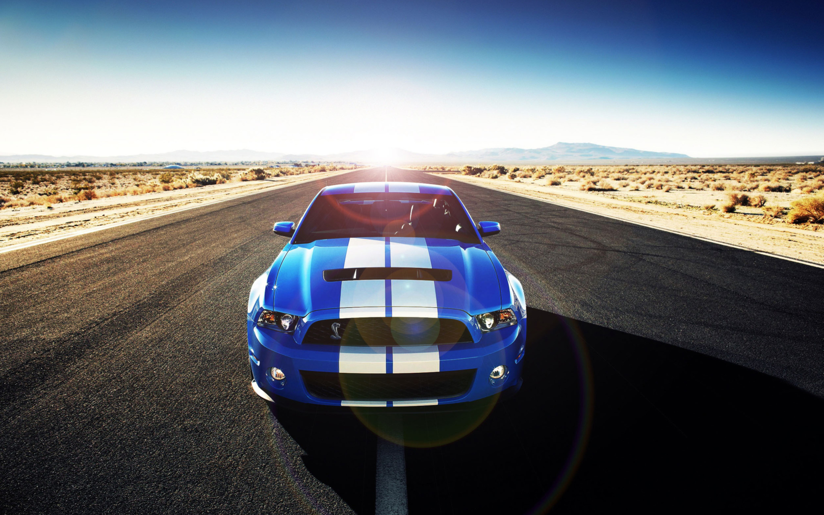 Das Shelby Wallpaper 1680x1050