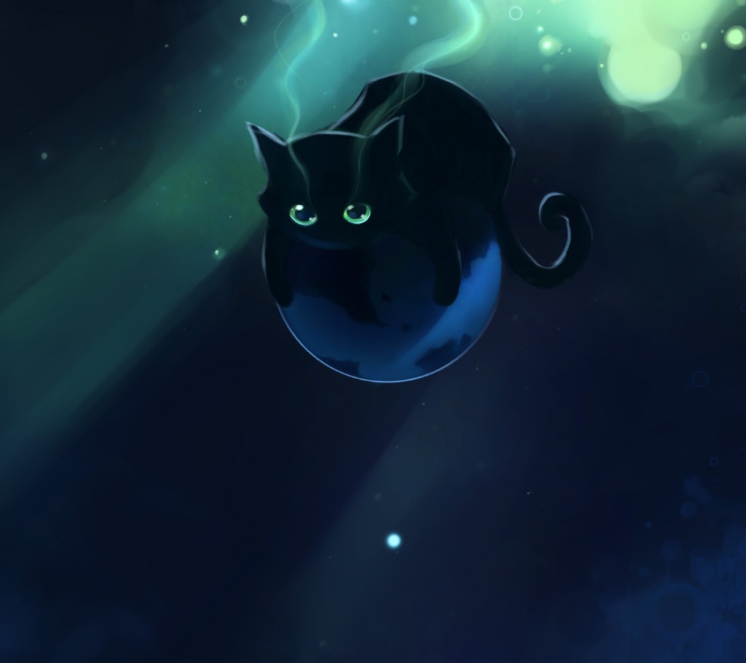 Space Cat wallpaper 1080x960