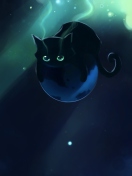 Space Cat screenshot #1 132x176