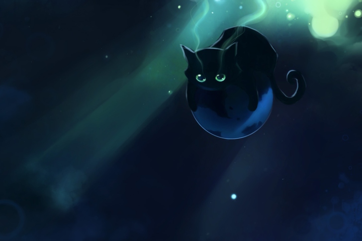 Sfondi Space Cat