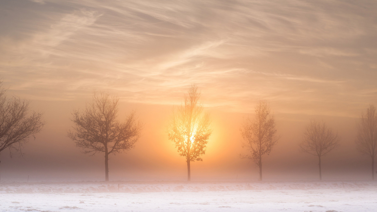 Das Winter Landscape Wallpaper 1280x720