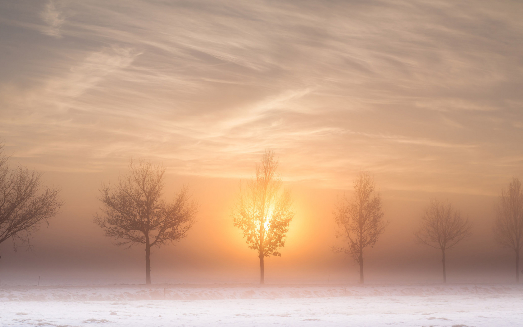 Winter Landscape screenshot #1 1680x1050