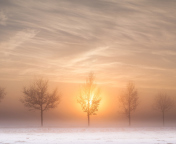 Winter Landscape screenshot #1 176x144