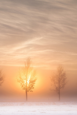 Winter Landscape screenshot #1 320x480