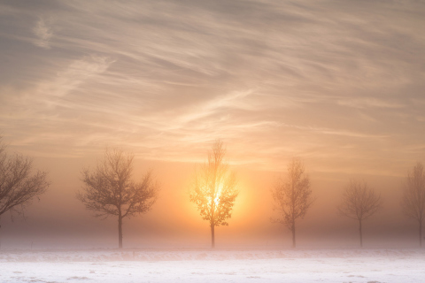 Das Winter Landscape Wallpaper 480x320