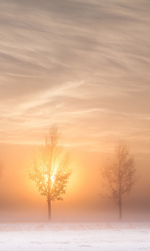 Sfondi Winter Landscape 480x800