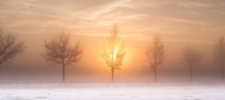 Winter Landscape wallpaper 720x320