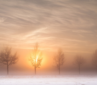 Winter Landscape - Obrázkek zdarma pro 1024x1024