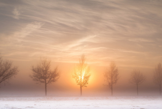 Winter Landscape Wallpaper for Android, iPhone and iPad
