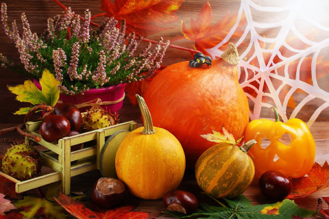 Das Harvest Still Life Wallpaper 480x320