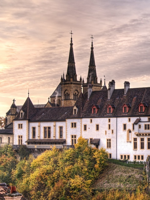 Das Neuchatel, Switzerland Castle Wallpaper 480x640