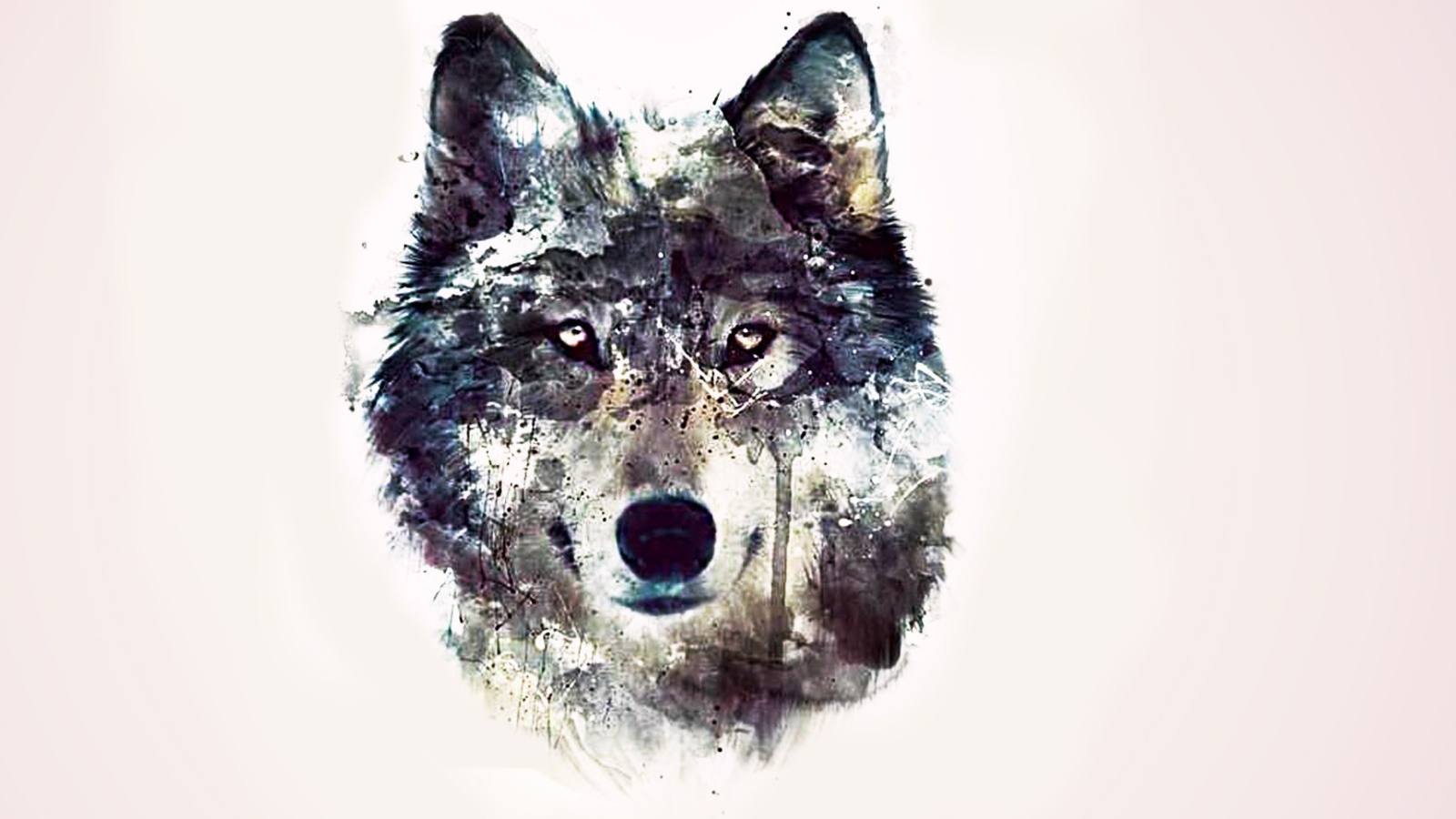 Das Wolf Art Wallpaper 1600x900
