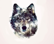 Sfondi Wolf Art 176x144