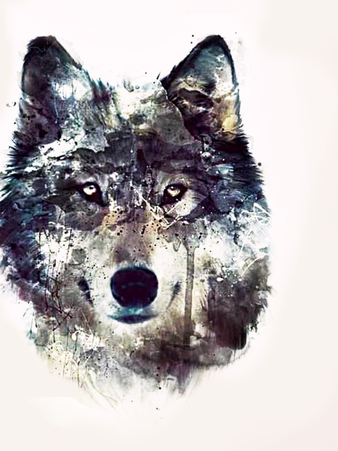 Sfondi Wolf Art 480x640