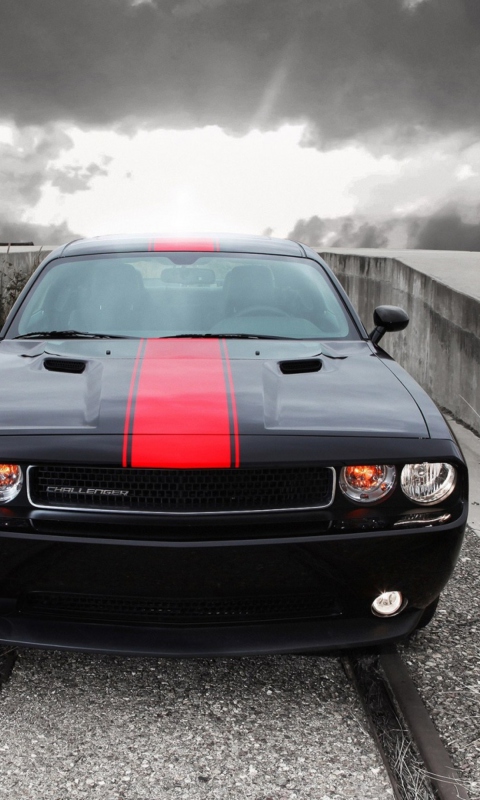 Sfondi Dodge Challenger Front View 480x800