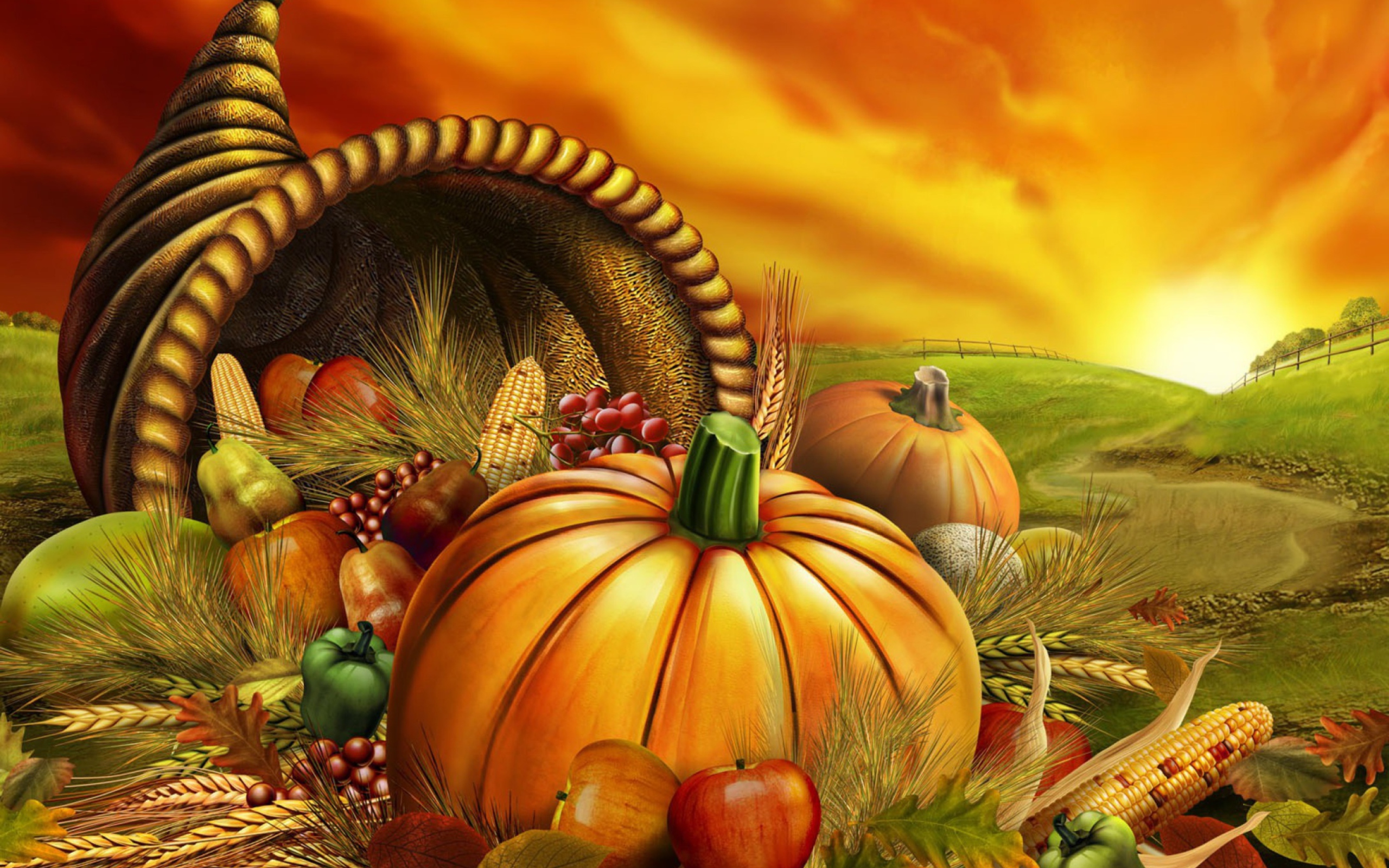 Обои Thanksgiving Pumpkin 2560x1600