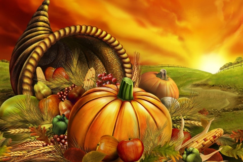 Thanksgiving Pumpkin wallpaper 480x320
