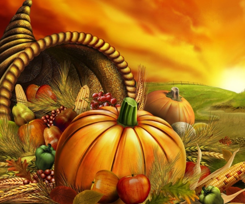 Das Thanksgiving Pumpkin Wallpaper 480x400