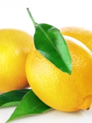 Sfondi Lemons Close Up 132x176