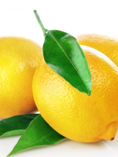 Lemons Close Up screenshot #1 240x320