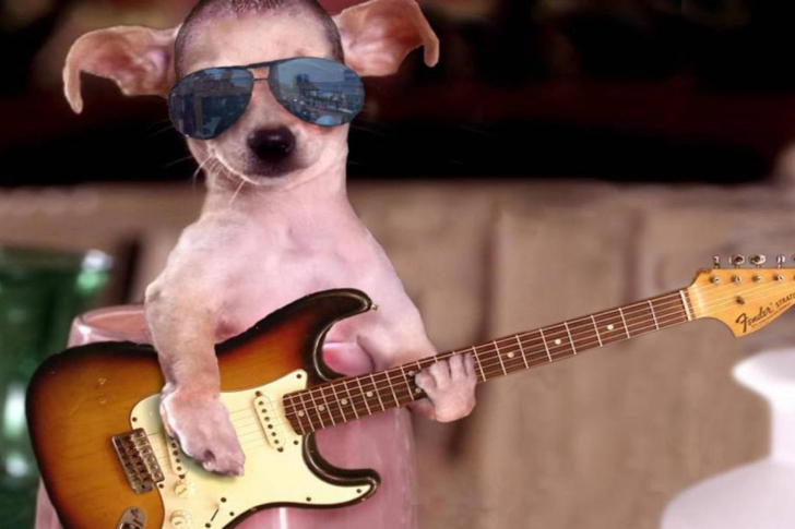 Обои Funny Dog With Guitar