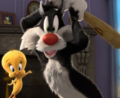 Sylvester And Tweety wallpaper 176x144