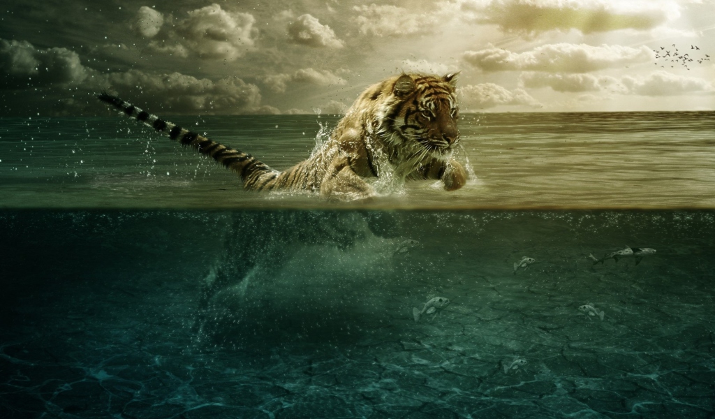 Das Tiger Jumping Out Of Water Wallpaper 1024x600