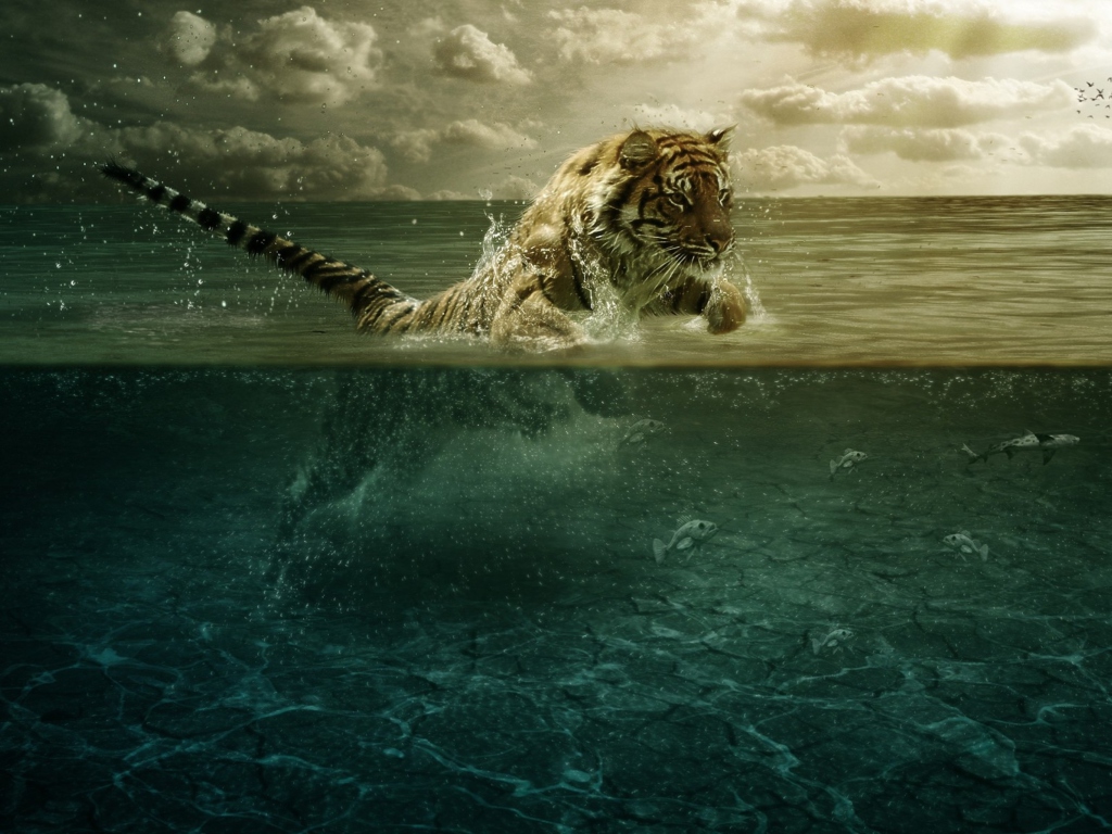Das Tiger Jumping Out Of Water Wallpaper 1024x768