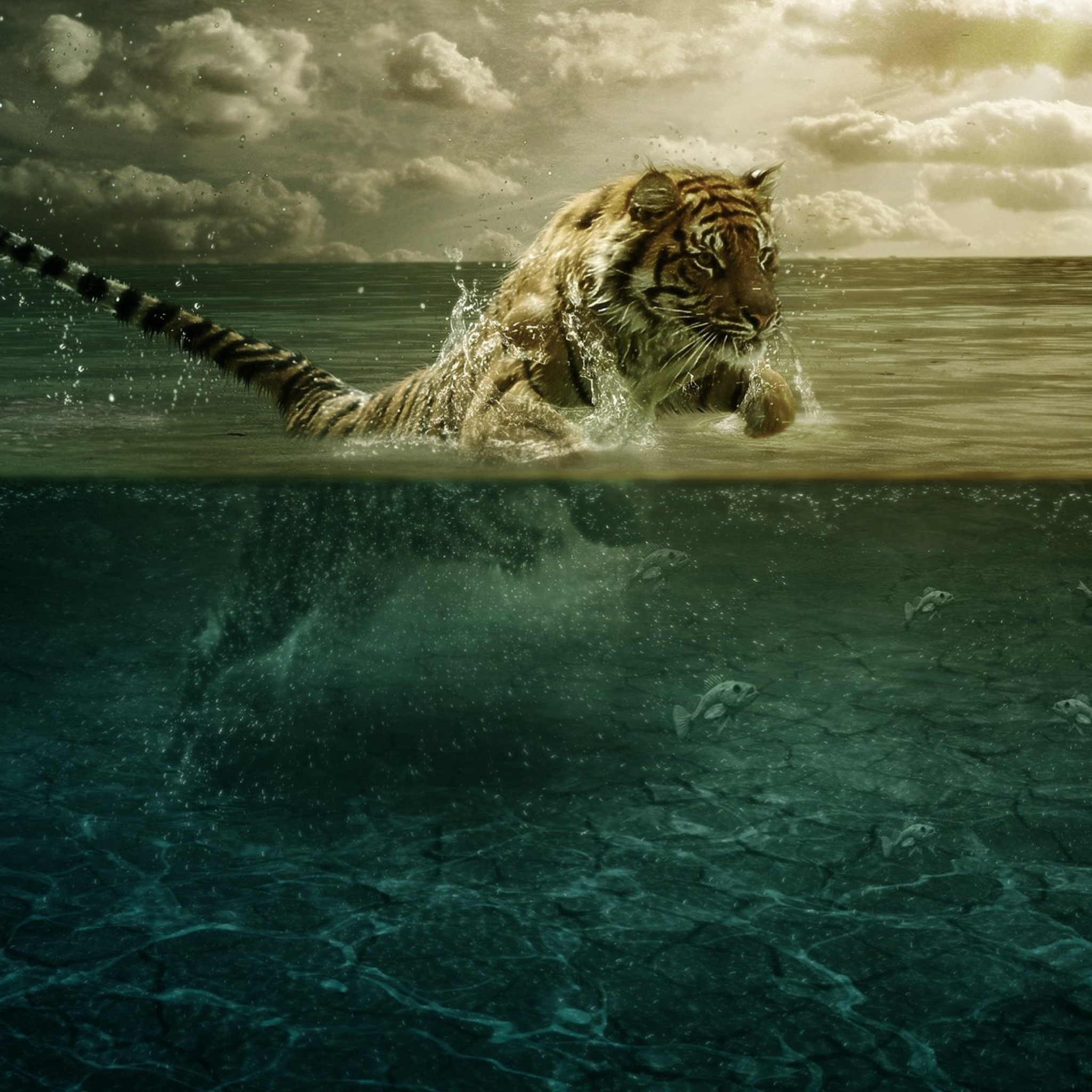 Fondo de pantalla Tiger Jumping Out Of Water 2048x2048