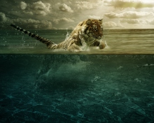 Das Tiger Jumping Out Of Water Wallpaper 220x176