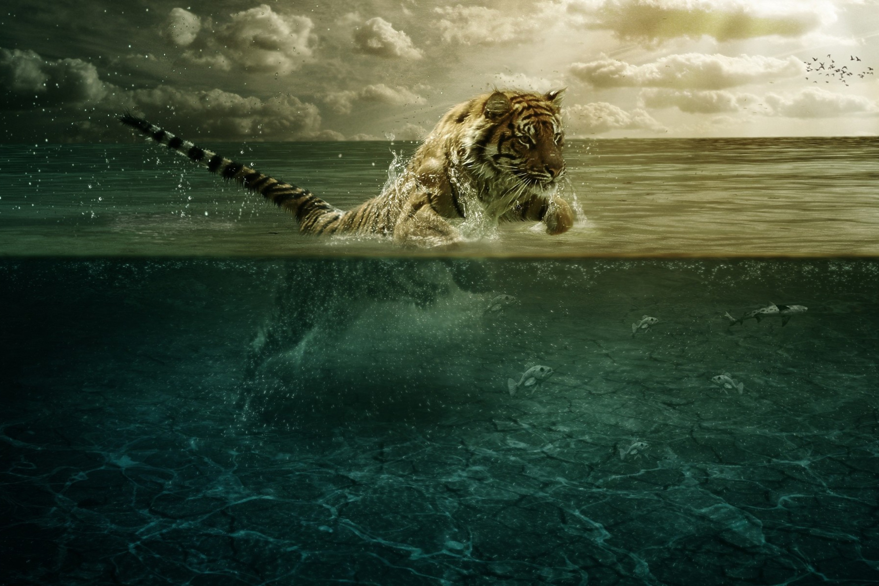 Обои Tiger Jumping Out Of Water 2880x1920