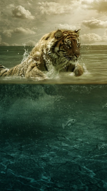 Das Tiger Jumping Out Of Water Wallpaper 360x640