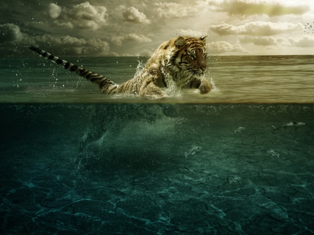 Fondo de pantalla Tiger Jumping Out Of Water 640x480