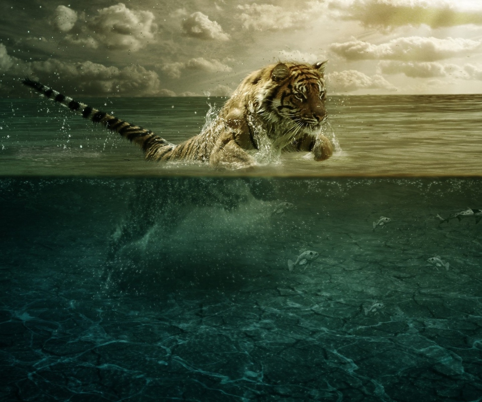 Fondo de pantalla Tiger Jumping Out Of Water 960x800