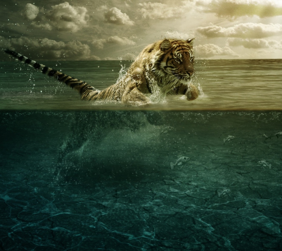 Обои Tiger Jumping Out Of Water 960x854
