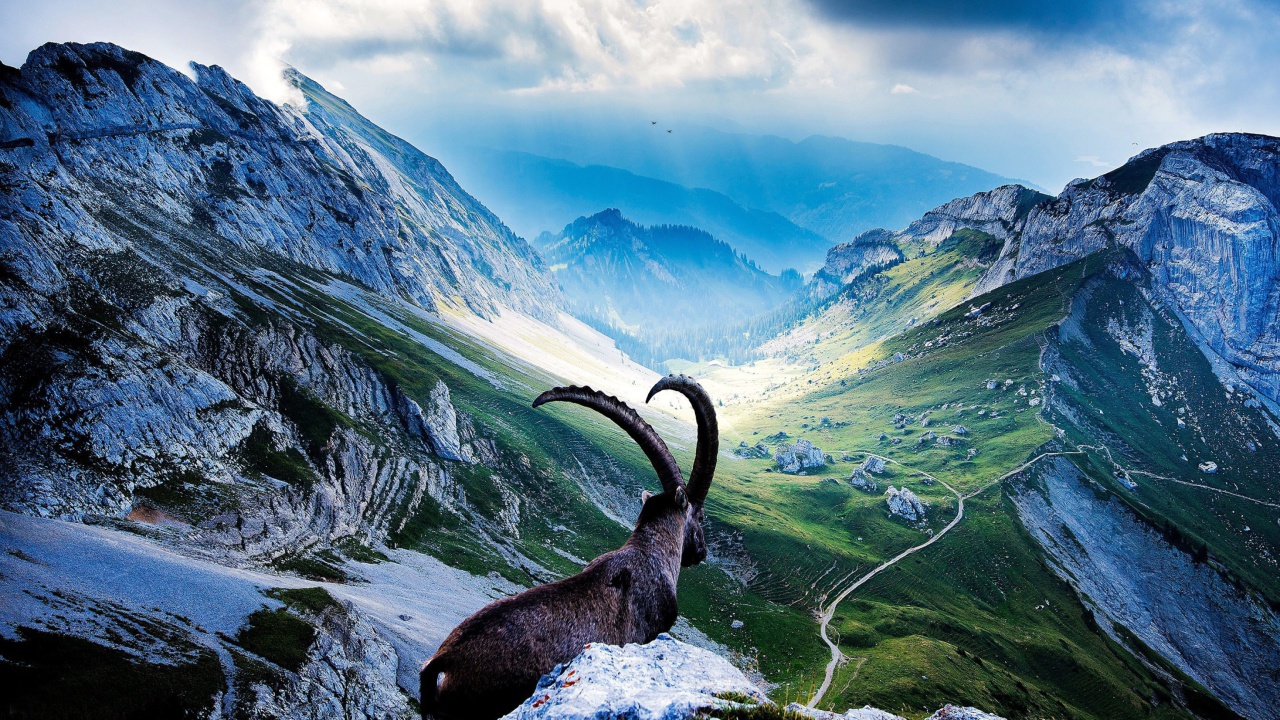 Screenshot №1 pro téma Mountains and Mountain Goat 1280x720